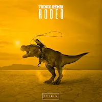 Trinix — Rodeo (Remix) — обложка